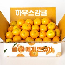 제주직송 올탑농원 하우스 감귤 2.5kg 중대과, 단품