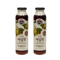 CJ백설매실청310ml x2개