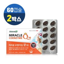 코엔자임 Q10 순도 98% 미생물발효공법 코엔자임큐텐 항산화 기능성 3종, 2개, 60캡슐