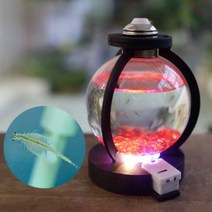 씨몽키 수족관 만들기(2개 SET)