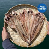 국내산 손질 양태 장대 30-33cm내외 (대) 3마리 해풍건조 제수용생선 구이 매운탕 찜용, 국내산 손질 양태(장대) 대 3미