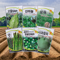 흰무늬 엉겅퀴 밀크씨슬 삼채 씨앗 종자, 흰무늬엉겅퀴(밀크씨슬), 1개