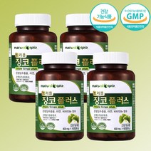 트리블 징코 플러스 8개월분 은행잎 추출물 아연 비타민B6 혈행개선 기억력개선, 단품, 단품
