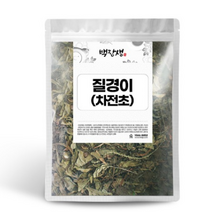백장생 질경이, 300g, 3개