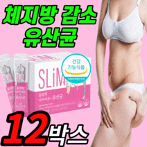 슬림 다이어트 유산균 아연 체지방 장 건강 프로바이오틱스 락토 바실러스 루테리 모유 유래 포스트 프리 바이오 틱스 스틱 프락토올리고당 보조제 가르시니아 hca 식약청 인증 +사은품, 2500mgX 60포
