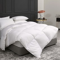 파르페by알레르망 시베리아 사계절 호텔 구스다운 알러지케어 이불솜, S(SS)