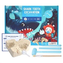 화석 상어이빨 발굴하기 체험학습 교구/ 암석관찰 수업 학교 교재