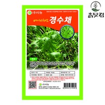 베이비 경수채 씨앗 30g 비타민 풍부 베이비채소 + 네임택, 단품