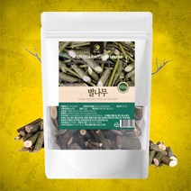 국내산 벌나무 500g, 1개