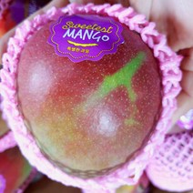 고당도 애플망고 항공직수입, 애플망고 4kg 7과-11과내외