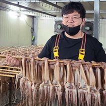 염분을제거한 국내가공 삼삼마른오징어 20마리 1축 1.5kg 1.7kg 2kg, 1.3kg 내외