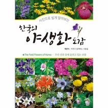 웅진북센 한국의 야생화 도감 사진으로쉽게알아보는, One color | One Size, 9788964091050