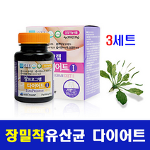 포스트 바이오틱스 장 유산균 단기 다이어트 RGG 밀착유산균 누에고치 실크 피브로인 가루 분말 스틱 락토바실러스 가세리 람노서스 가르시니아 캄보지아 체지방 뱃살 체중 감소, harammall, 3box