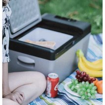 알피쿨 캠핑냉장고 차량용냉장고 캠핑카 차박 휴대용, C20 리터