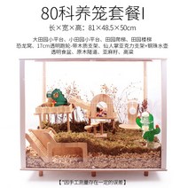 내햄존 햄스터공화국 산소방 리빙하우스, 09.80 섹션 케이지 패키지 I 상승 섹션