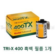 Kodak 코닥 TRI-X 400TX 프로페셔널 흑백 네거티브 필름 36컷 흑백필름, 1개
