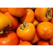 단감 10kg (41-46과) 밀양단감 부유단감 산지발송(OF), 1개