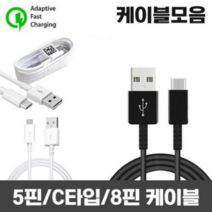 For LG 듀얼 멀티 급속 충전기 케이블 추가 가능, .개, 21.5핀에서 C타입 변환젠더_화이트