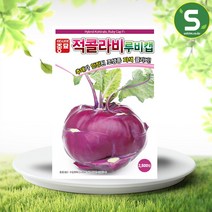 솔림텃밭몰 적콜라비씨앗 100립 루비캡 콜라비씨앗 전문농가용