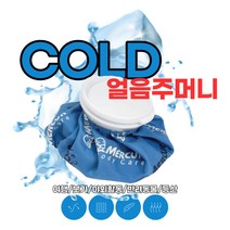 [골프/등산] 라우딩 얼음주머니 / 골프얼음주머니 아이스 스포츠 골프 보냉백(소형 중형 대형), 스피카 냉, L