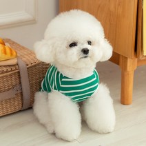 펫츠랜드 강아지 로키 티셔츠, 그린