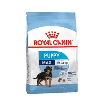 [로얄캐닌] 독 대형견사료 맥시 (퍼피/10kg), 본상품, 1개