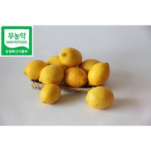 [레몬올레농장] 무농약 레몬 생과 (3kg 5kg 9kg), 3kg