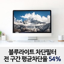 클린에이지 블루라이트 차단 시력보호 필터, 노트북 15.6인치 (P150AB)