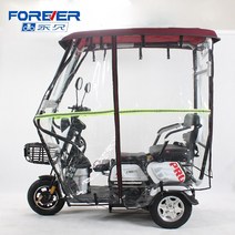 세발전기자전거 삼륜 전기 전동 자전거 완전 밀폐형 영구 세발 전용 간이 차고