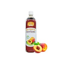 파낙스 로쏘189 복숭아홍차 9배희석용, 1L, 2개