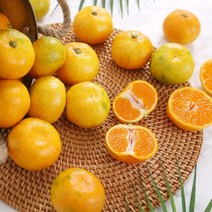 새콤달콤 제주 돌담 하우스 감귤 2.5kg 꼬마과 (2S미만)