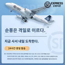 진공 차량용 휴대용 무선 청소기, 【순풍패키지】당일 발송★불만족가방