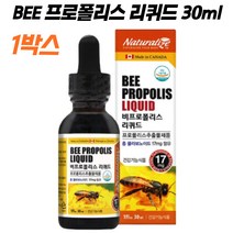 항산화 프로폴리스 비 BEE 비염 항산화 리퀴드 액상 스포이드 플라보노이드 맞춤 NK세포 부모님 효능 면역 비염 활성산소 추천 수험생 고시생 프리미엄 유해산소 구강향균