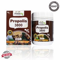 뉴질랜드 엔젯100 생 프로폴리스 3800mg 300정 10개월분 플라보노이드 엔조제놀, 단품
