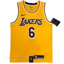 NBA LA 레이커스 no.6 르브론 제임스 스윙맨 져지 유니폼 / NBA Los Angeles Lakers no.6 LeBron James Swingman Jersey
