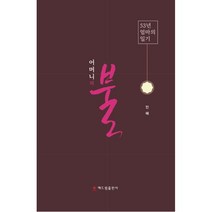 어머니의 불:53년 엄마의 일기, 민혜 저, 해드림출판사