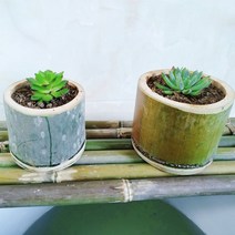 도로변화분 도로용화분 화분통 데크화분 경계목 신선한 대나무 큰 대나무 튜브 화분 둥근, 하단 펀치 고객 서비스에 문의