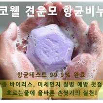 장애인시설 어린이집 요양원 유해세균 질병예방 향균비누 10입, 블루베리향(10개입)