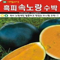 AR 흑피 속노랑수박 미니형 수박 씨앗