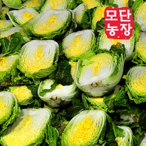 [모단농장 ]괴산절임배추 20kg/작황풍년/싱싱도보장, 11월 21일발송-22일도착