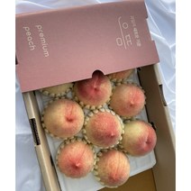 으뜸 선물용 최고급 황도 복숭아 영주 농장 직송 3kg, 1개, 3KG(12과 내외 중과)