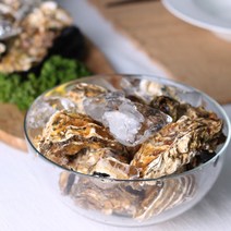 산지직송 통영 채취 삼배체굴 사계절굴 석화 석굴 수출용 하프쉘 1kg, 삼배체 통굴 1kg, 1개