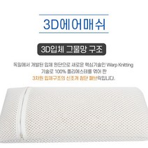 까사벨라 여름쿨 기능성 베개속 에어매쉬커버(40x20cm), 화이트