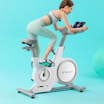 실내 헬스장 Huawei HiLink Merrick 자기 제어 회전 자전거 홈 음소거 승마 스포츠 스마트 AP 피트니스, [01] 스탠다드 에디션 흰색으로 칠해진 Huawei