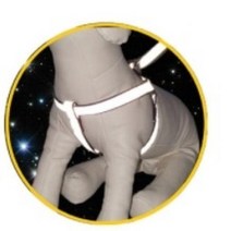 에씨클레오 강력하게 외부의 빛반사X밴드 밤길도 안전한 가슴줄세트 핑크 E-1351414, 1세트-L