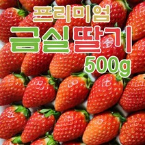 진짜 금실딸기 프리미엄 고급 딸기 500g