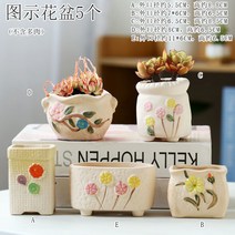 다육화분 다육이 심폴 화분 식물 미니 화분세트, 도자기, 옵션66