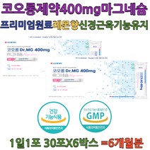 레몬맛 분말 마그네슘 GMP 1일1포 산화마그네슘 코오롱제약 분말스틱 온가족 마그네슘 40대 50대 선물