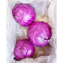 제주산지직송 빨간양배추 적양배추 적채 2kg 양배추 친환경적채 친환경 적채 양배추 적채양배추 유기농 적채 양배추 야채 자주색양배추, 1개