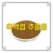 소율국제 측백엽 고농축 추출물 분말, 30:1, 500g, 1개